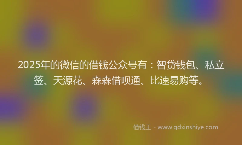 2025年的微信的借钱公众号有：智贷钱包、私立签、天源花、森森借呗通、比速易购等。