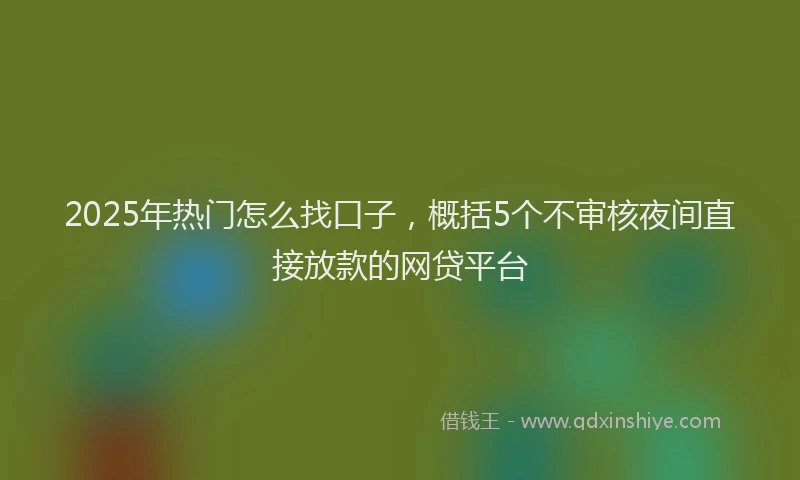 2025年热门怎么找口子，概括5个不审核夜间直接放款的网贷平台