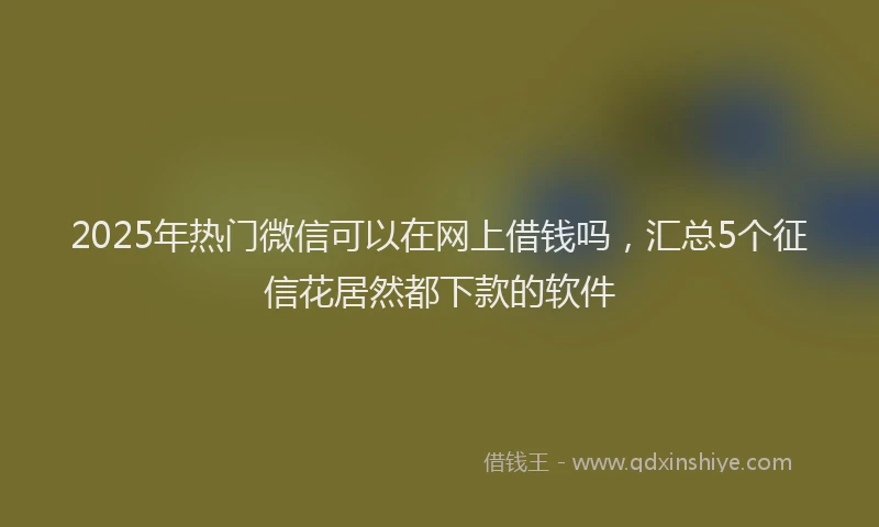 2025年热门微信可以在网上借钱吗，汇总5个征信花居然都下款的软件