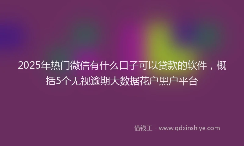2025年热门微信有什么口子可以贷款的软件，概括5个无视逾期大数据花户黑户平台
