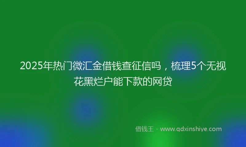 2025年热门微汇金借钱查征信吗，梳理5个无视花黑烂户能下款的网贷