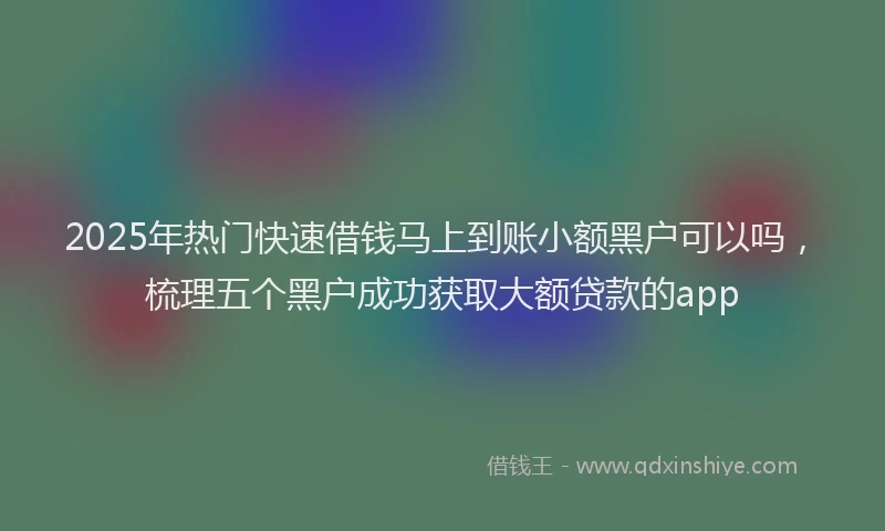 2025年热门快速借钱马上到账小额黑户可以吗，梳理五个黑户成功获取大额贷款的app