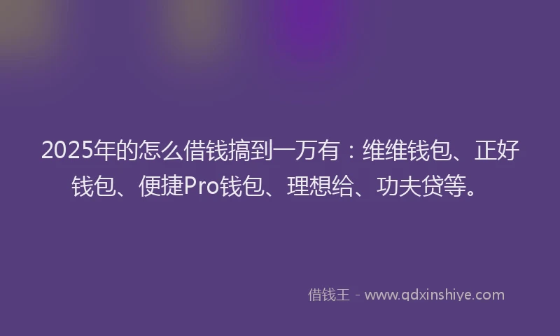 2025年的怎么借钱搞到一万有:维维钱包、正好钱包、便捷Pro钱包、理想给、功夫贷等。
