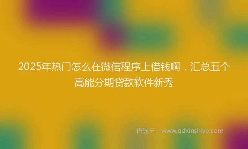 2025年热门怎么在微信程序上借钱啊,汇总五个高能分期贷款软件新秀