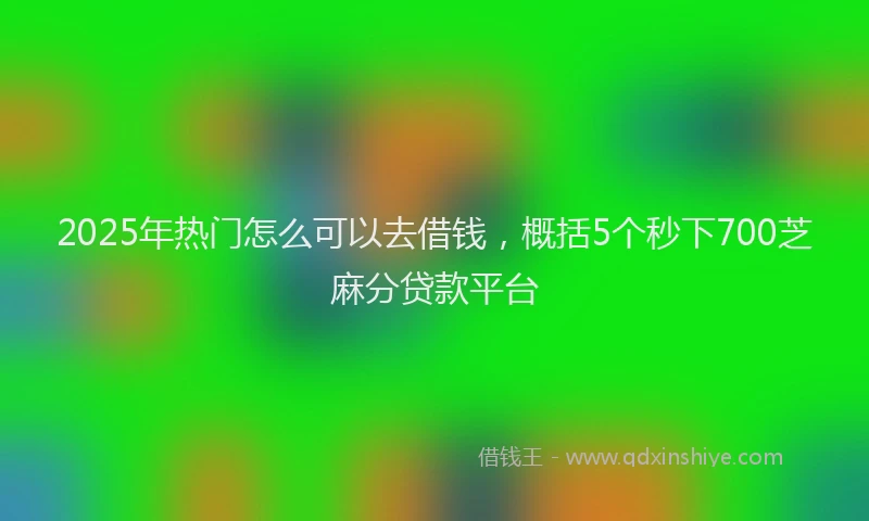 2025年热门怎么可以去借钱，概括5个秒下700芝麻分贷款平台
