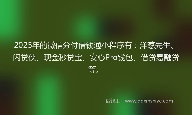 2025年的微信分付借钱通小程序有：洋葱先生、闪贷侠、现金秒贷宝、安心Pro钱包、借贷易融贷等。