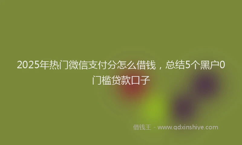 2025年热门微信支付分怎么借钱，总结5个黑户0门槛贷款口子