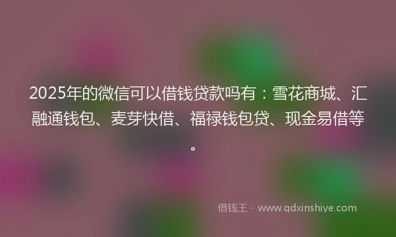 2025年的微信可以借钱贷款吗有：雪花商城、汇融通钱包、麦芽快借、福禄钱包贷、现金易借等。