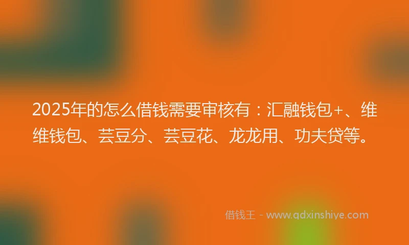 2025年的怎么借钱需要审核有：汇融钱包+、维维钱包、芸豆分、芸豆花、龙龙用、功夫贷等。