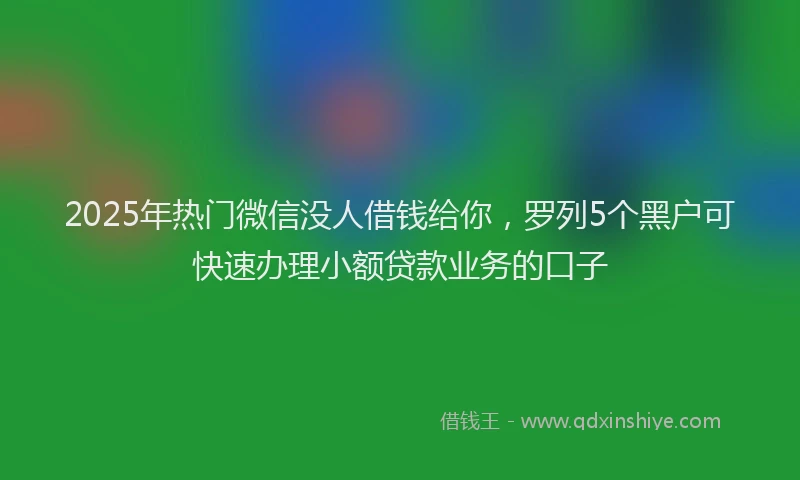 2025年热门微信没人借钱给你,罗列5个黑户可快速办理小额贷款业务的口子