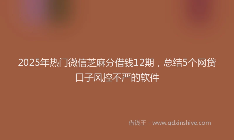 2025年热门微信芝麻分借钱12期，总结5个网贷口子风控不严的软件
