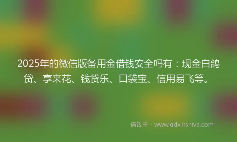2025年的微信版备用金借钱安全吗有：现金白鸽贷、享来花、钱贷乐、口袋宝、信用易飞等。