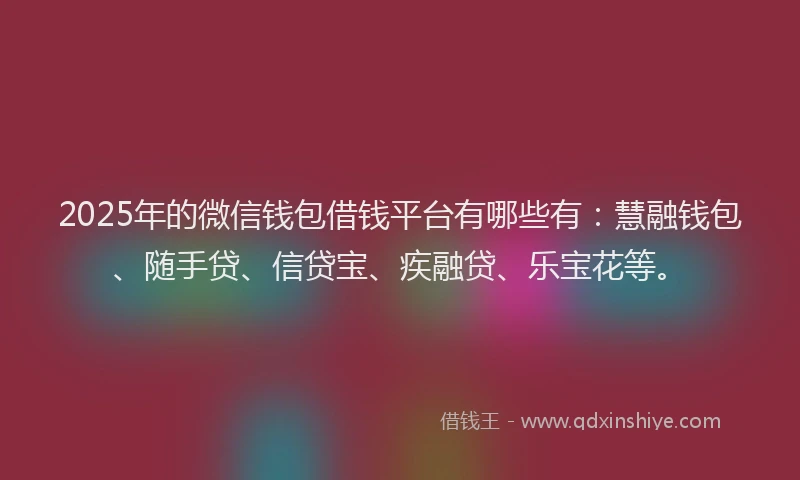 2025年的微信钱包借钱平台有哪些有：慧融钱包、随手贷、信贷宝、疾融贷、乐宝花等。