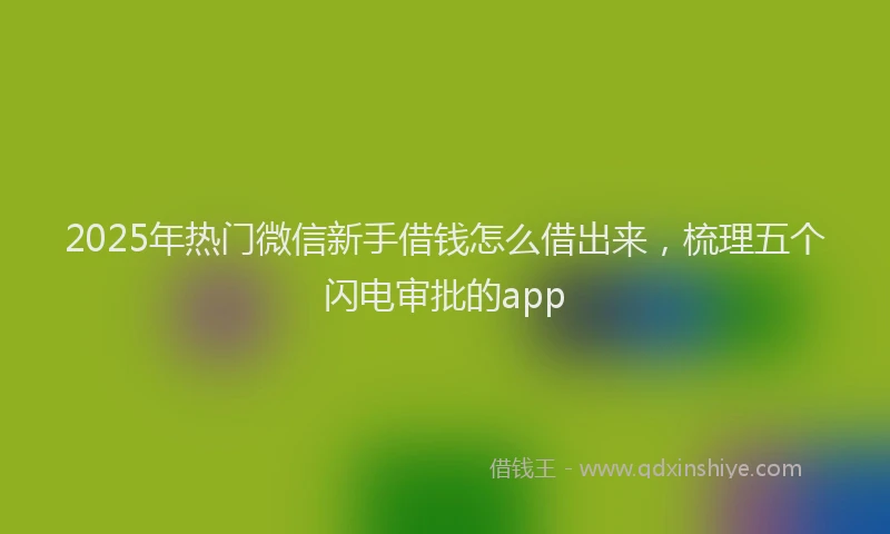 2025年热门微信新手借钱怎么借出来，梳理五个闪电审批的app