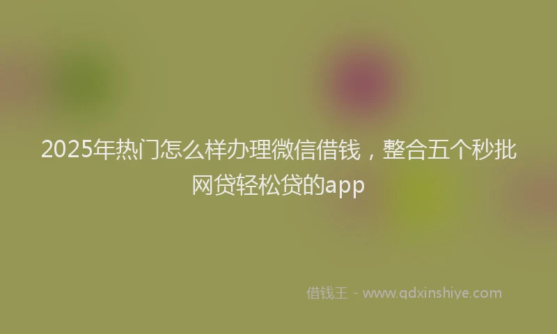 2025年热门怎么样办理微信借钱，整合五个秒批网贷轻松贷的app