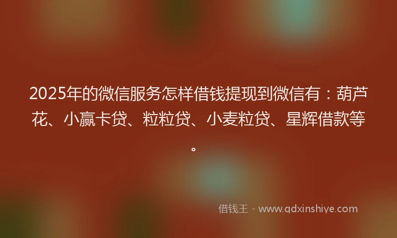 2025年的微信服务怎样借钱提现到微信有：葫芦花、小赢卡贷、粒粒贷、小麦粒贷、星辉借款等。