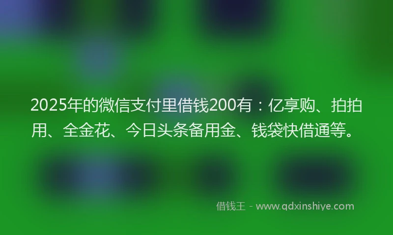 2025年的微信支付里借钱200有：亿享购、拍拍用、全金花、今日头条备用金、钱袋快借通等。