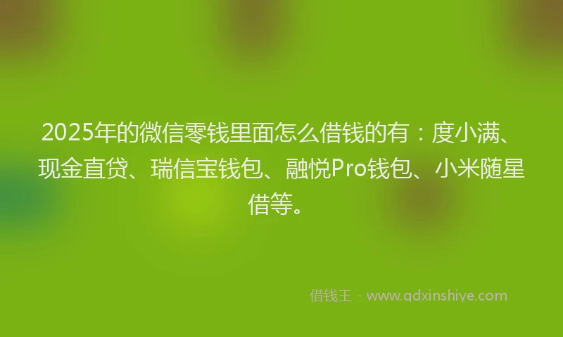 2025年的微信零钱里面怎么借钱的有：度小满、现金直贷、瑞信宝钱包、融悦Pro钱包、小米随星借等。