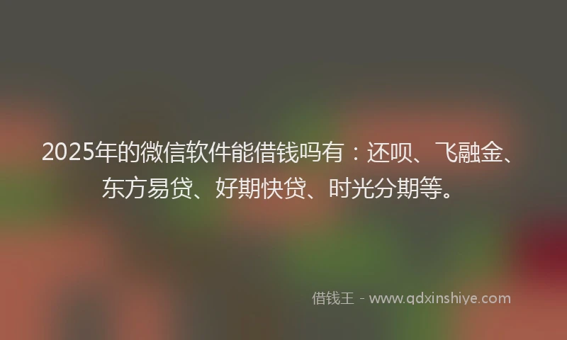 2025年的微信软件能借钱吗有：还呗、飞融金、东方易贷、好期快贷、时光分期等。