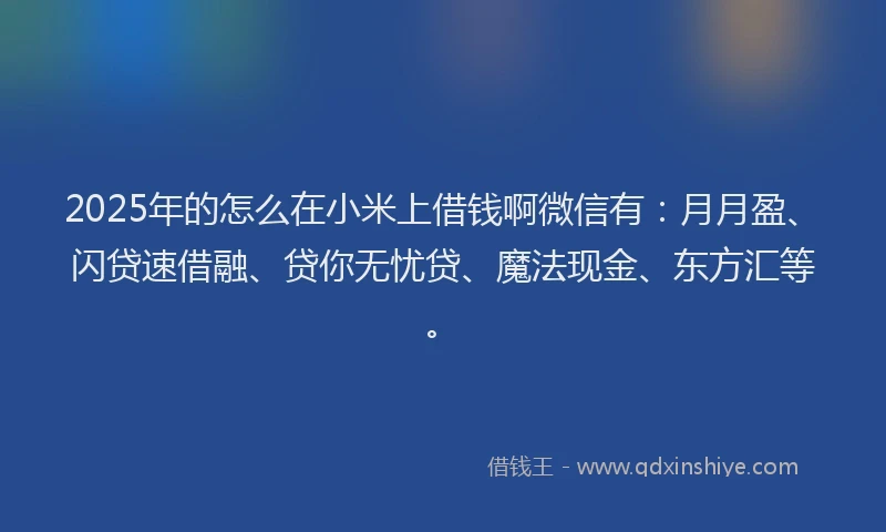 2025年的怎么在小米上借钱啊微信有：月月盈、闪贷速借融、贷你无忧贷、魔法现金、东方汇等。