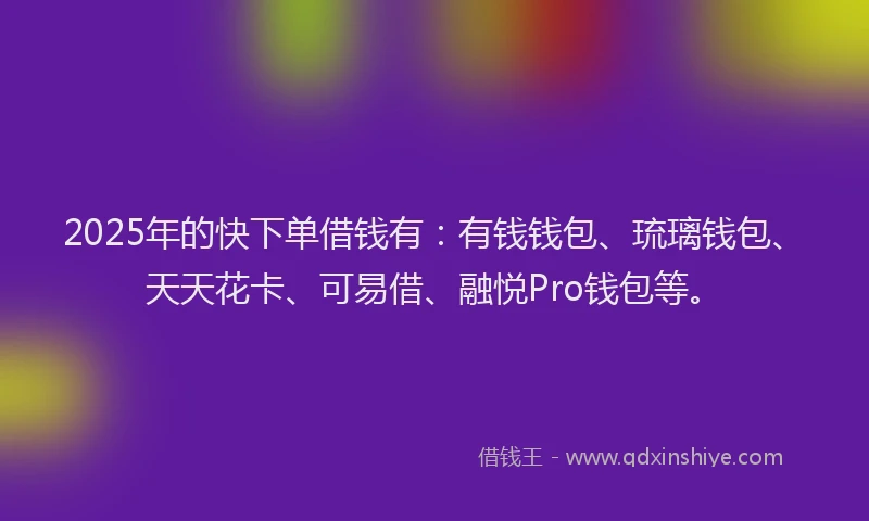 2025年的快下单借钱有：有钱钱包、琉璃钱包、天天花卡、可易借、融悦Pro钱包等。