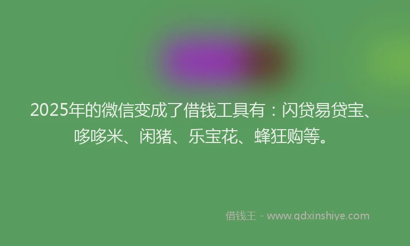 2025年的微信变成了借钱工具有：闪贷易贷宝、哆哆米、闲猪、乐宝花、蜂狂购等。