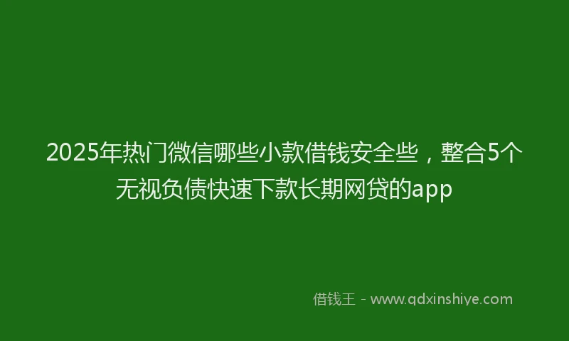 2025年热门微信哪些小款借钱安全些，整合5个无视负债快速下款长期网贷的app