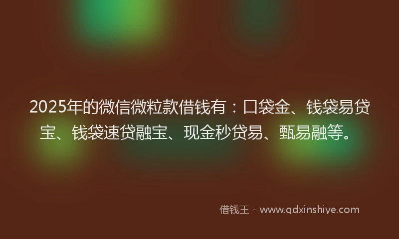 2025年的微信微粒款借钱有：口袋金、钱袋易贷宝、钱袋速贷融宝、现金秒贷易、甄易融等。