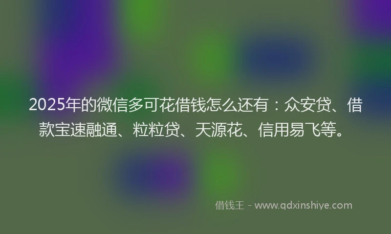2025年的微信多可花借钱怎么还有：众安贷、借款宝速融通、粒粒贷、天源花、信用易飞等。