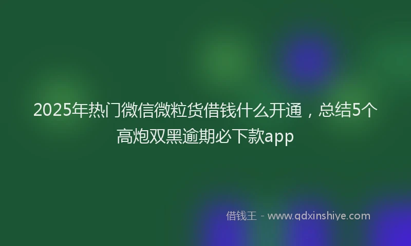2025年热门微信微粒货借钱什么开通，总结5个高炮双黑逾期必下款app