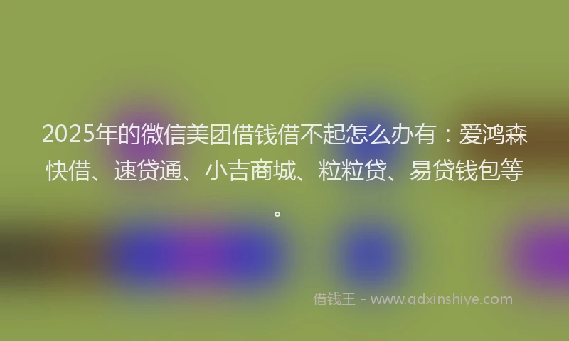 2025年的微信美团借钱借不起怎么办有：爱鸿森快借、速贷通、小吉商城、粒粒贷、易贷钱包等。