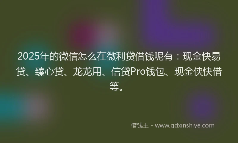 2025年的微信怎么在微利贷借钱呢有：现金快易贷、臻心贷、龙龙用、信贷Pro钱包、现金侠快借等。