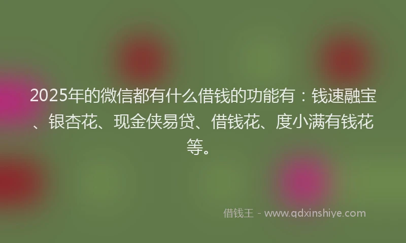 2025年的微信都有什么借钱的功能有：钱速融宝、银杏花、现金侠易贷、借钱花、度小满有钱花等。