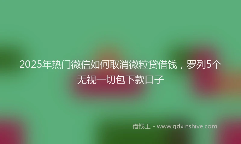 2025年热门微信如何取消微粒贷借钱，罗列5个无视一切包下款口子