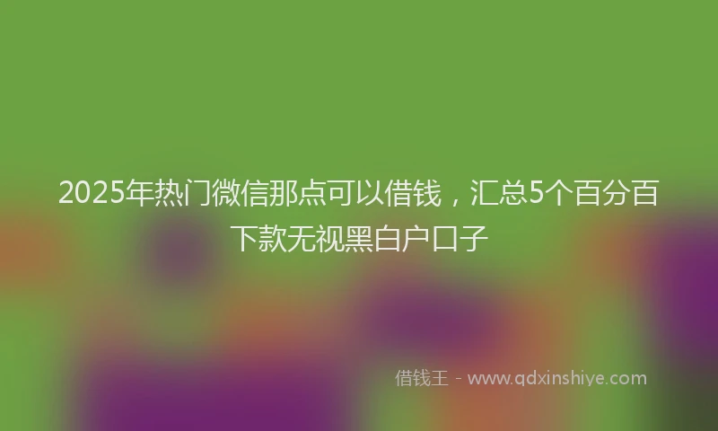 2025年热门微信那点可以借钱，汇总5个百分百下款无视黑白户口子
