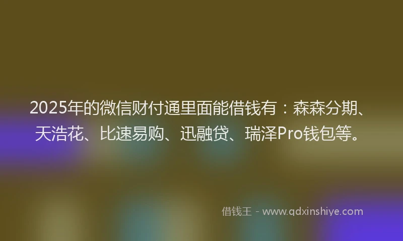 2025年的微信财付通里面能借钱有：森森分期、天浩花、比速易购、迅融贷、瑞泽Pro钱包等。