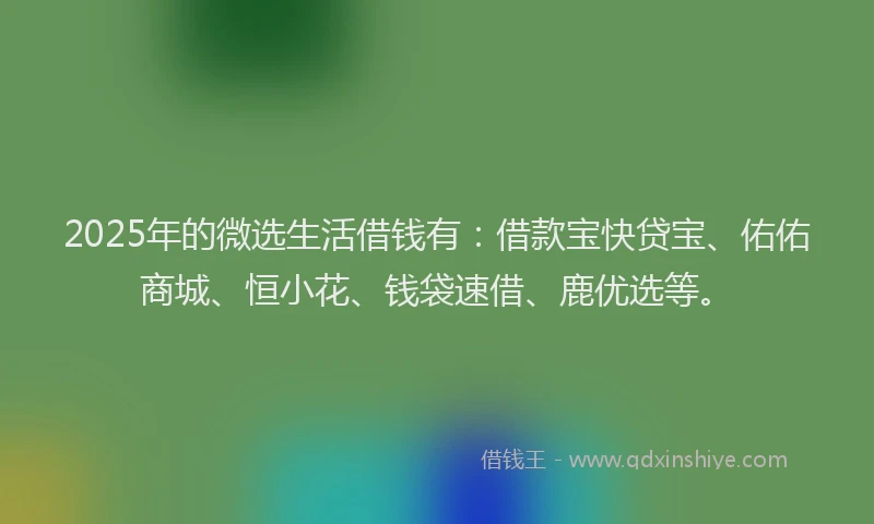 2025年的微选生活借钱有：借款宝快贷宝、佑佑商城、恒小花、钱袋速借、鹿优选等。