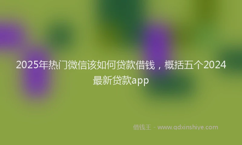 2025年热门微信该如何贷款借钱，概括五个2024最新贷款app