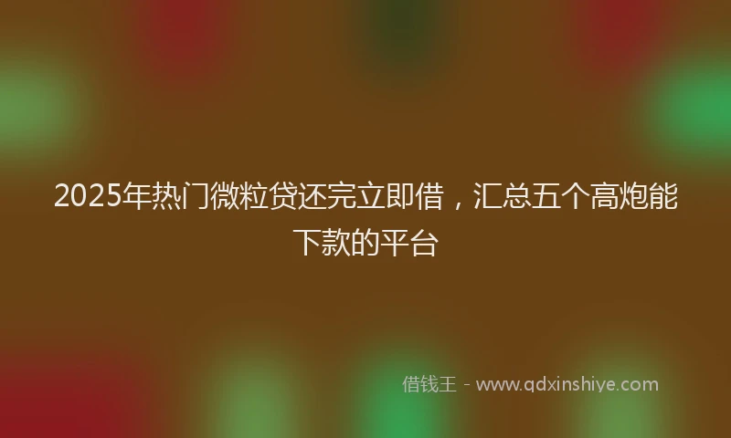2025年热门微粒贷还完立即借，汇总五个高炮能下款的平台