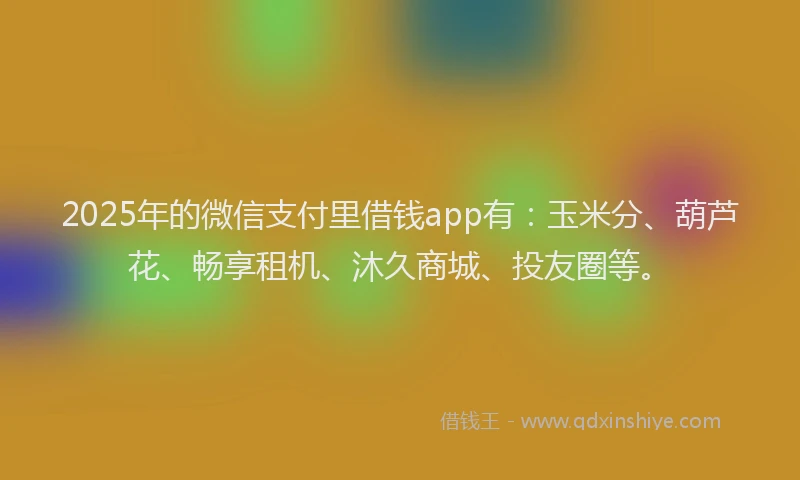 2025年的微信支付里借钱app有：玉米分、葫芦花、畅享租机、沐久商城、投友圈等。