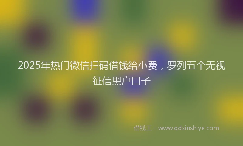 2025年热门微信扫码借钱给小费，罗列五个无视征信黑户口子