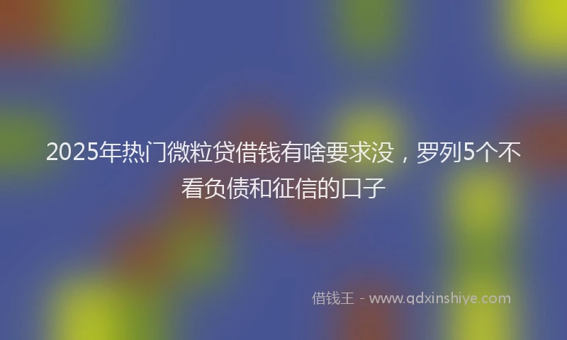 2025年热门微粒贷借钱有啥要求没，罗列5个不看负债和征信的口子