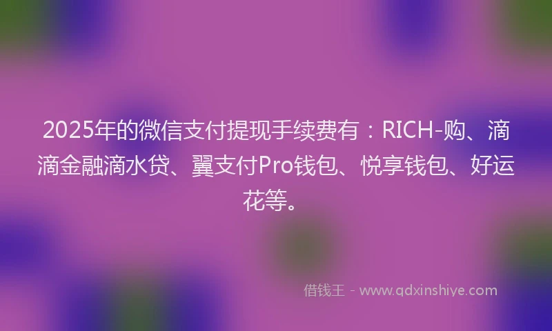 2025年的微信支付提现手续费有：RICH-购、滴滴金融滴水贷、翼支付Pro钱包、悦享钱包、好运花等。