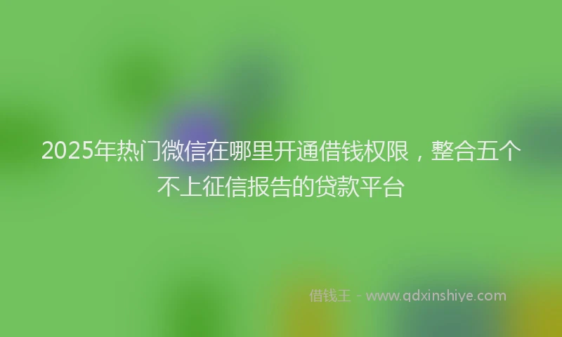 2025年热门微信在哪里开通借钱权限，整合五个不上征信报告的贷款平台