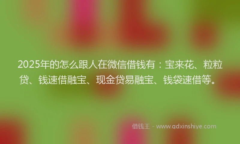 2025年的怎么跟人在微信借钱有：宝来花、粒粒贷、钱速借融宝、现金贷易融宝、钱袋速借等。
