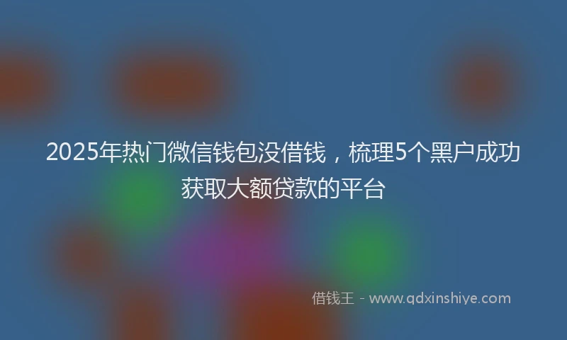 2025年热门微信钱包没借钱，梳理5个黑户成功获取大额贷款的平台