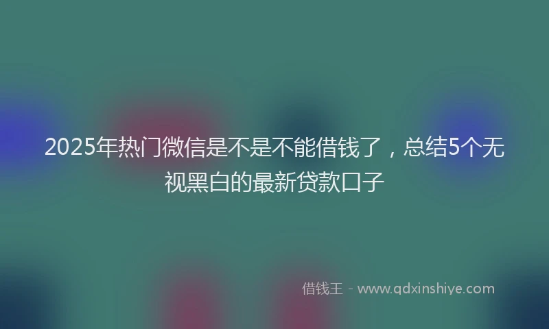 2025年热门微信是不是不能借钱了,总结5个无视黑白的最新贷款口子