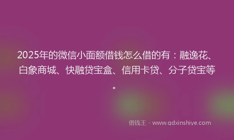 2025年的微信小面额借钱怎么借的有：融逸花、白象商城、快融贷宝盒、信用卡贷、分子贷宝等。