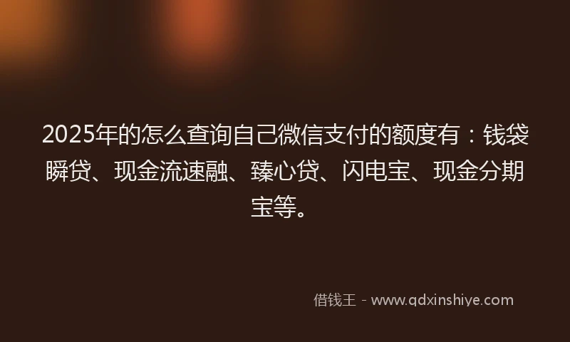 2025年的怎么查询自己微信支付的额度有：钱袋瞬贷、现金流速融、臻心贷、闪电宝、现金分期宝等。