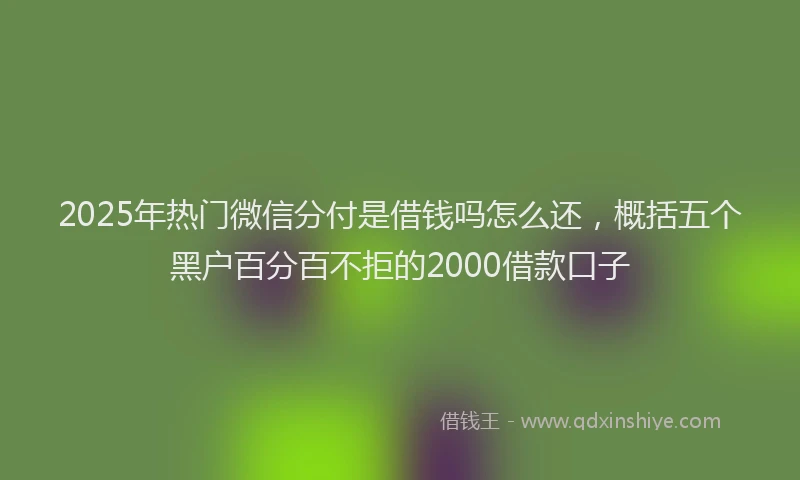 2025年热门微信分付是借钱吗怎么还，概括五个黑户百分百不拒的2000借款口子